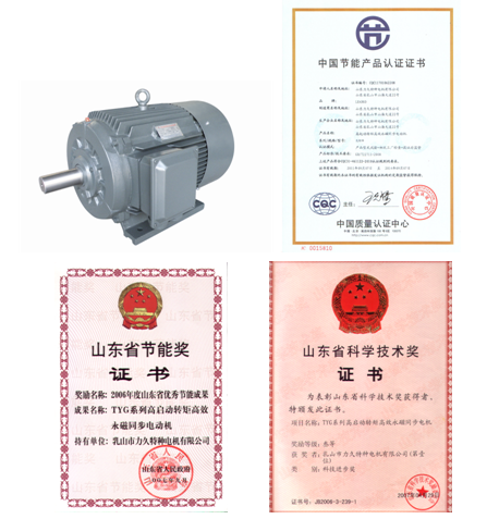 TYG高啟動轉(zhuǎn)矩高效永磁同步電動機