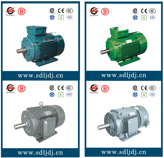 力久高效節(jié)能電機(jī)